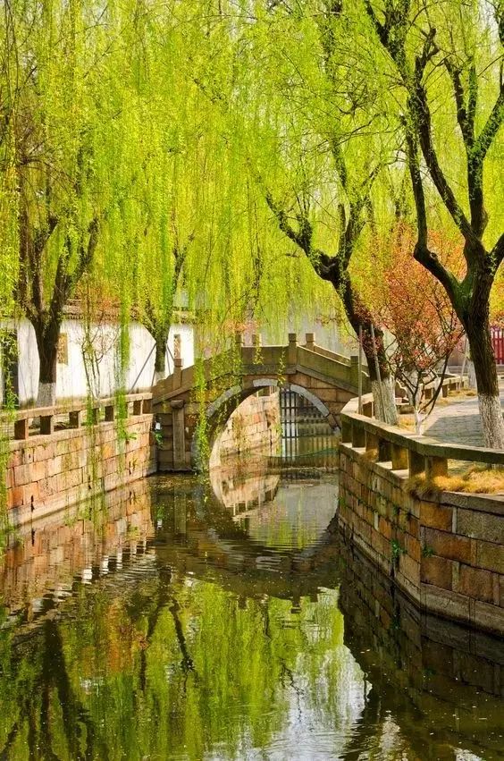 清明小長假，去這9個(gè)絕美的地方踏青