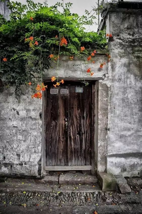 清明小長假，去這9個(gè)絕美的地方踏青