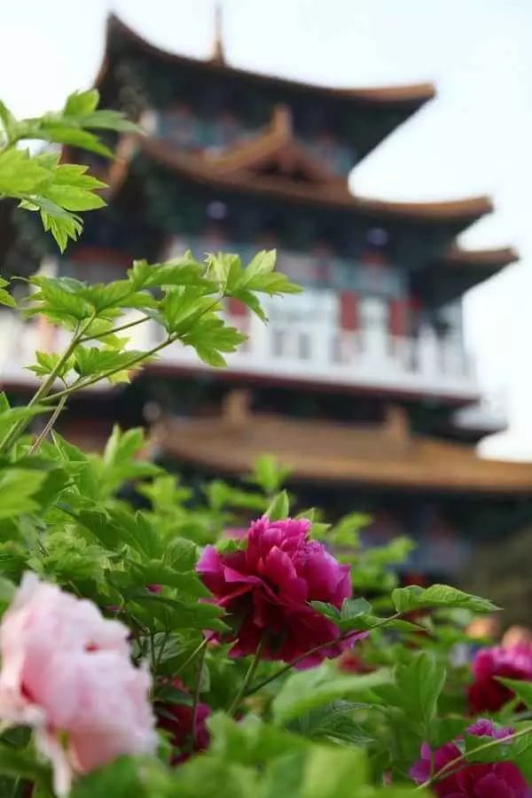 清明小長假，去這9個(gè)絕美的地方踏青