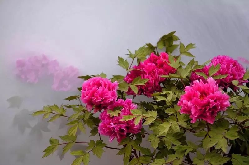 清明小長假，去這9個(gè)絕美的地方踏青