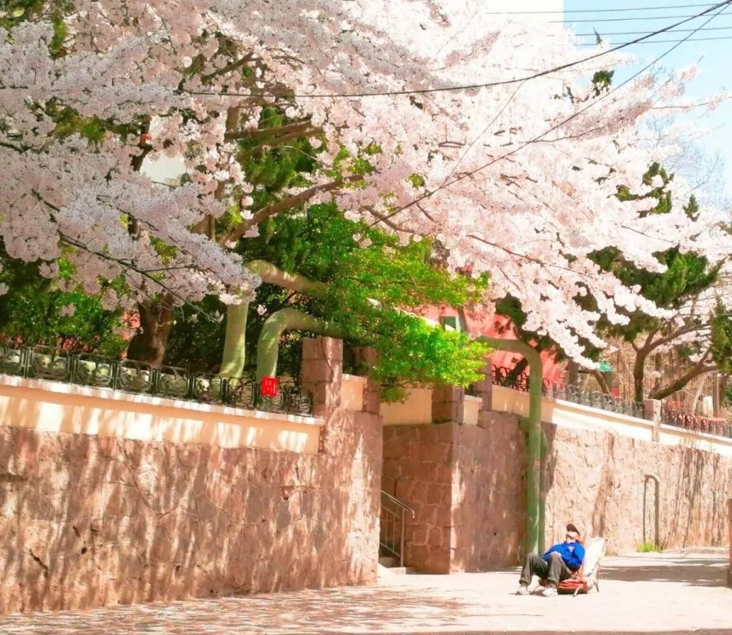 清明小長(zhǎng)假，去這9個(gè)絕美的地方踏青