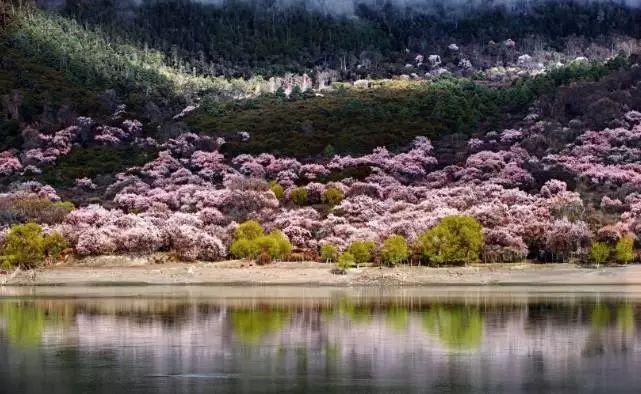 踏青尋色，春風(fēng)十里不如你