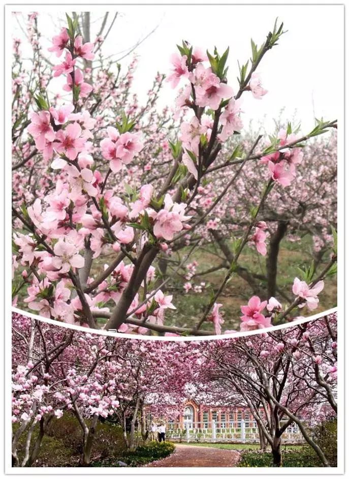 唯美風(fēng)景圖片，踏青游玩美翻天！