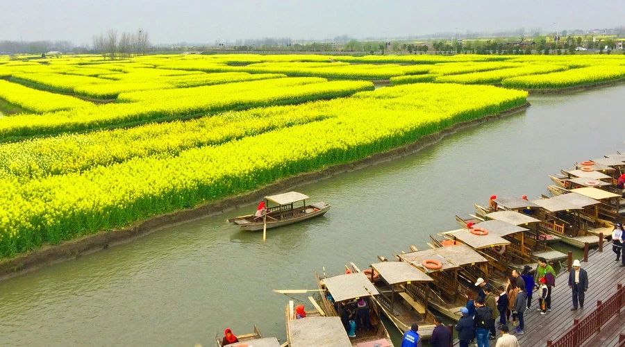 最美人間四月，詩(shī)情畫(huà)意不可錯(cuò)失的風(fēng)景推薦