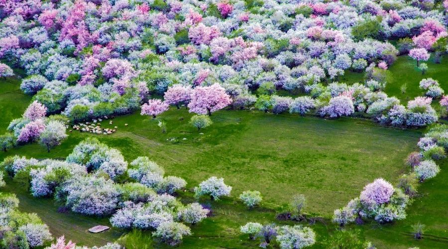 最美人間四月，詩(shī)情畫(huà)意不可錯(cuò)失的風(fēng)景推薦