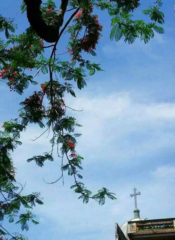 棉湖掠影， 古鎮(zhèn)情懷