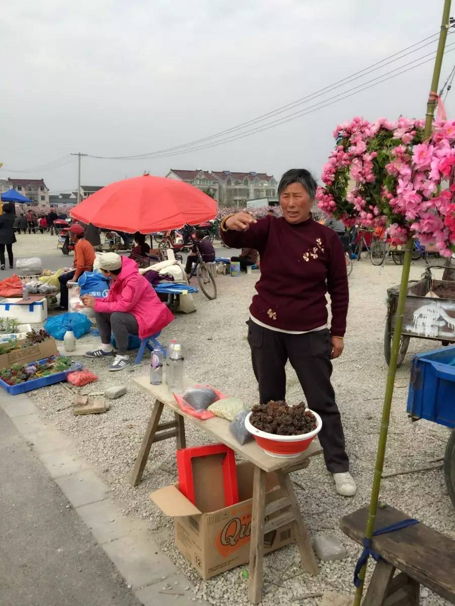 古鎮(zhèn)之外的新場(chǎng)，或許更有新意