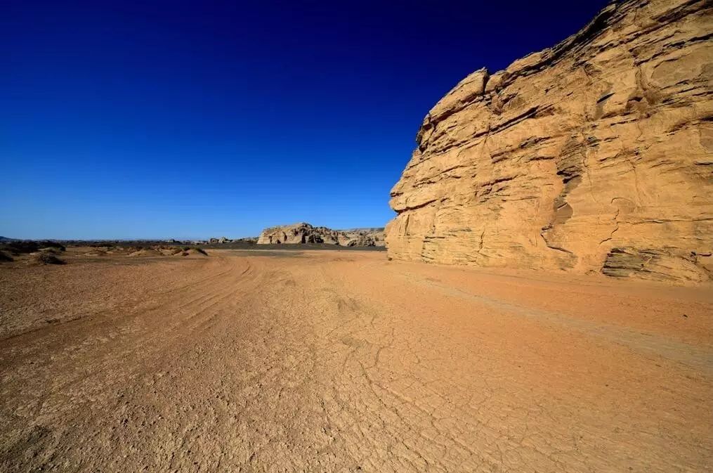 雕塑之魂：從干裂的土地上，尋找生命的意義