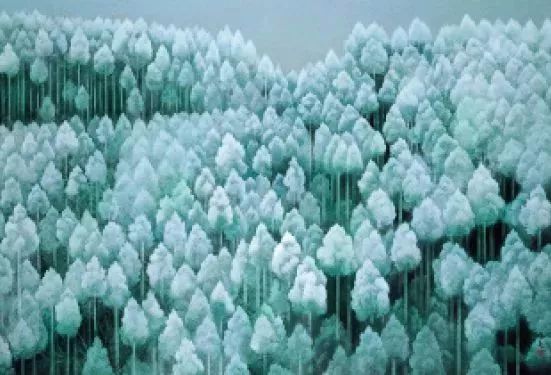 風(fēng)景即心境，東山魁夷筆下的四季