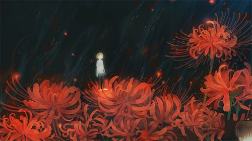 4款舞小仙的繪本插畫，不一樣的美！