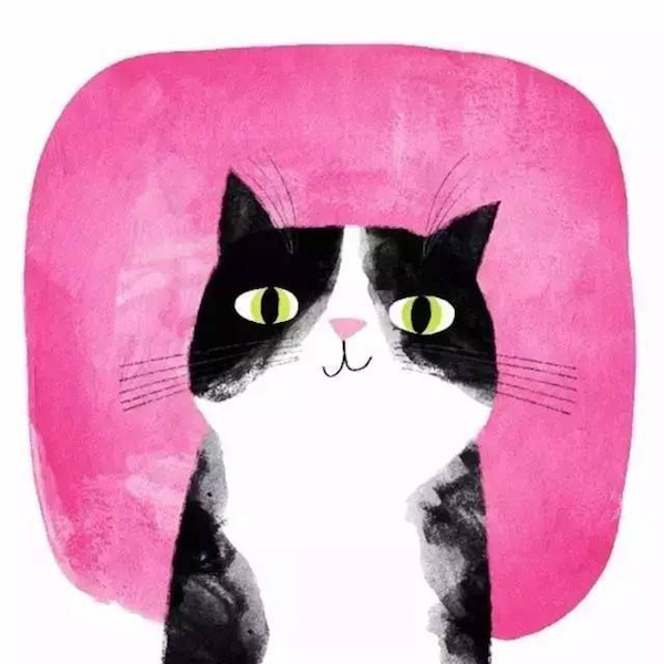 創(chuàng)意插畫:貓咪頭像