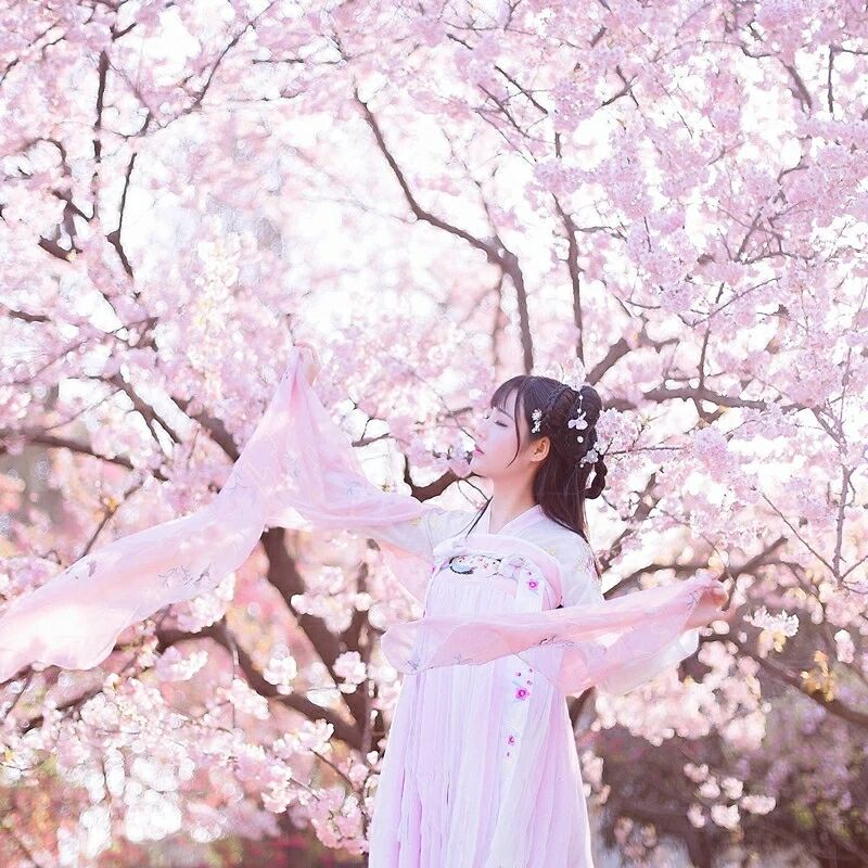 傳統(tǒng)華夏粉色漢服，漢元素清新淡雅漢服圖片