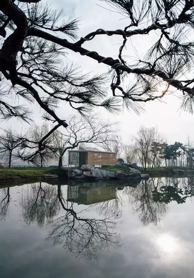 中式裝修，禪意茶室