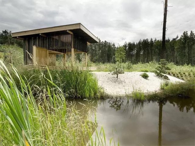 中式裝修，禪意茶室