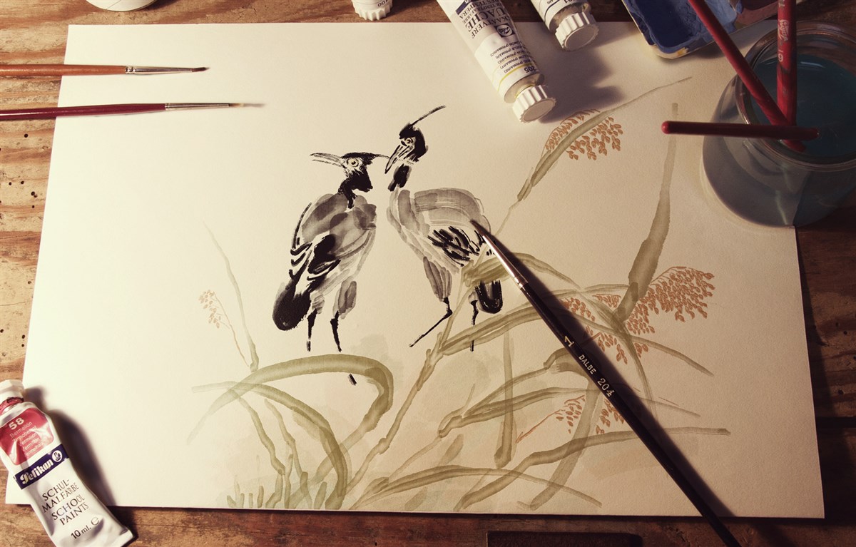 貢祿大米 | 品牌設(shè)計(jì)全過(guò)程