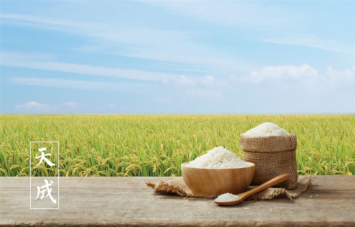 貢祿大米 | 品牌設(shè)計(jì)全過(guò)程