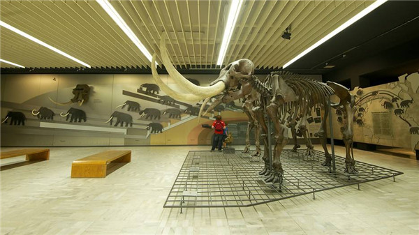 德國(guó)最大的自然博物館，德國(guó)森根堡自然博物館