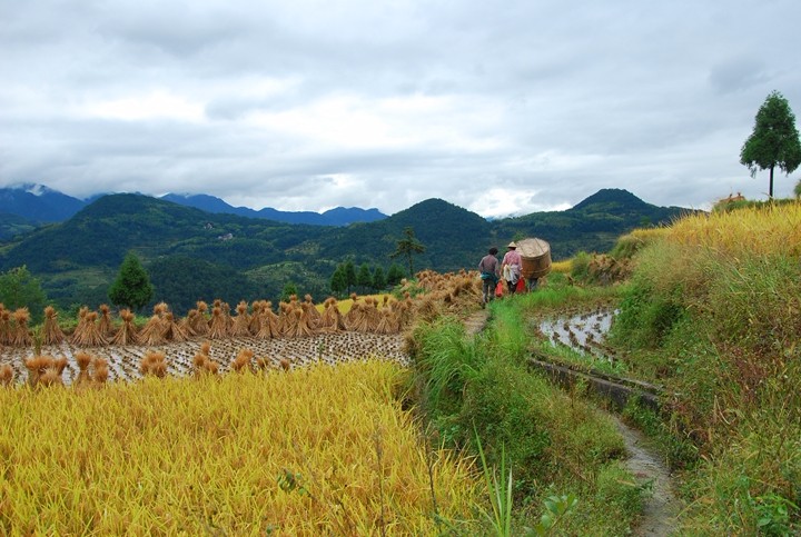 溫州墟里壹號民宿