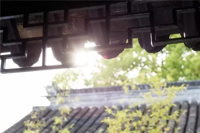 江蘇同里:隱廬別院·晴瀾堂