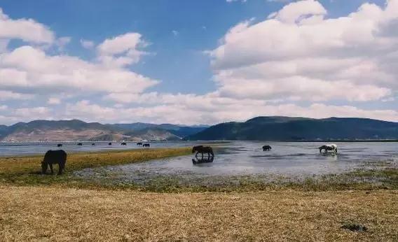 香格里拉阿若康巴尼倉(cāng)院子