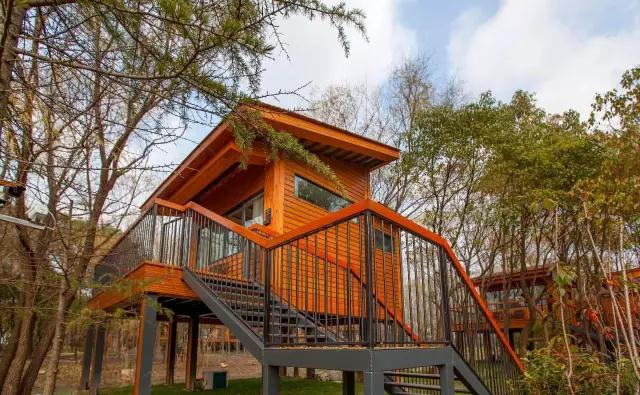 太湖之濱玖樹(shù)-森林的秘密