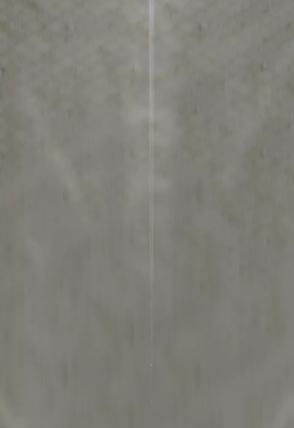 一九三一百雀羚，請開啟我的表演