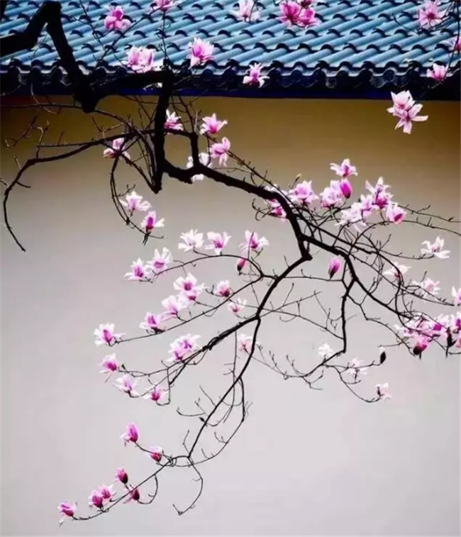 中國最美古建筑，古建筑攝影