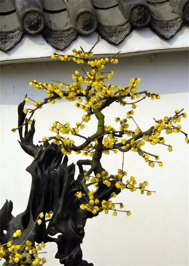 中國最美古建筑，古建筑攝影