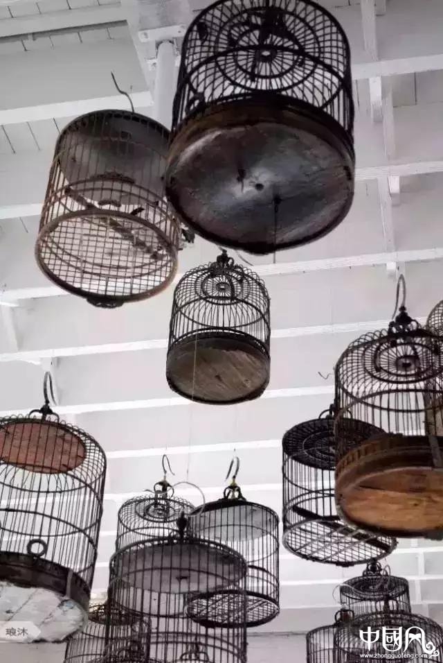 最美家佳樂文學(xué)鳥籠