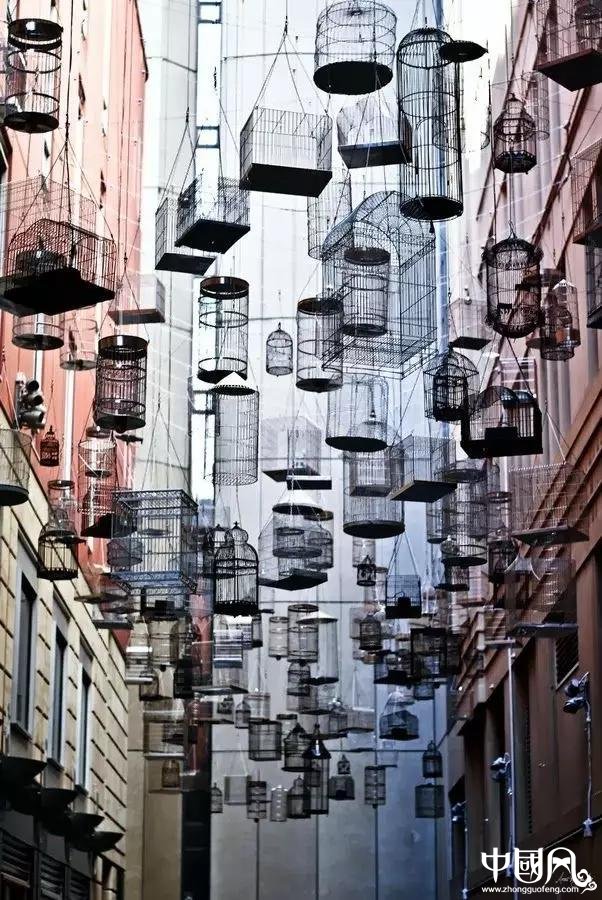 最美家佳樂文學(xué)鳥籠