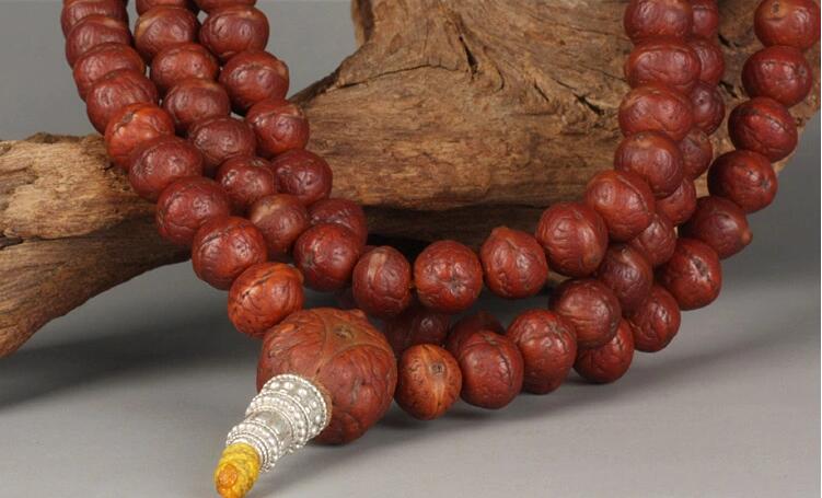 矮樁金眼爆紅小鳳眼菩提怎么盤？