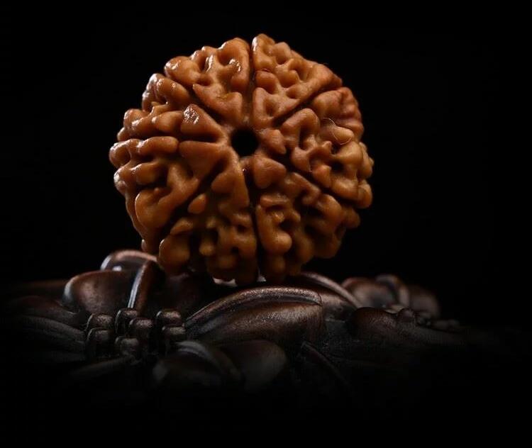 7瓣原籽尼泊爾天然大金剛菩提子怎么盤(pán)