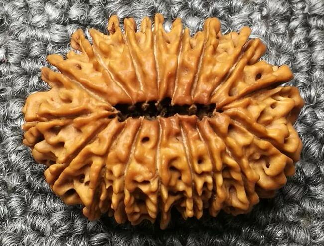 大金剛菩提子幾瓣的好？十七瓣金剛菩提子寓意