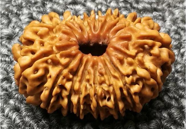 大金剛菩提子幾瓣的好？十七瓣金剛菩提子寓意