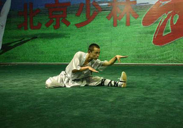 中華武術(shù):蛇拳