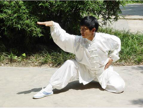 中華武術(shù):蛇拳