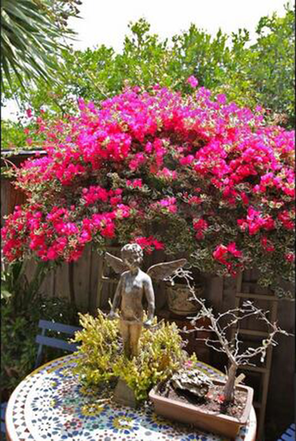 麥克的小屋，美國民宿