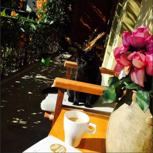 蒼山腳下的民宿，古城內(nèi)貓三家清靜四合小院民