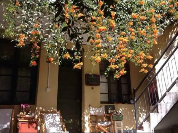 蒼山腳下的民宿，古城內(nèi)貓三家清靜四合小院民