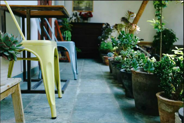 打呼嚕寓所，大理古城里的民宿