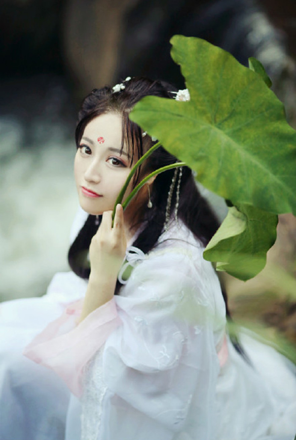 漢服 對(duì)襟齊胸襦裙