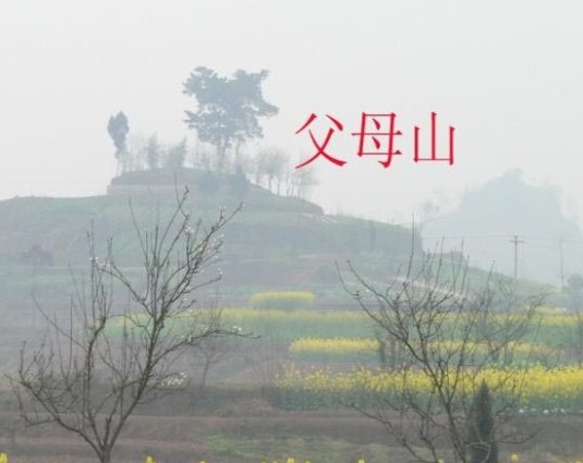 徐向前袓墳?zāi)癸L水