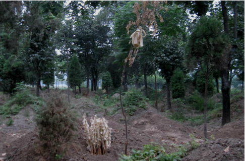 農(nóng)村下葬要注意哪些問(wèn)題？農(nóng)村下葬的風(fēng)水講究