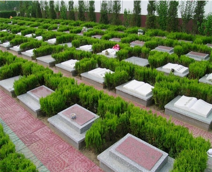 如何維護墓地風水？墓地風水的維護方法