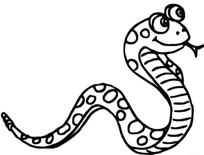 屬蛇的人的床頭朝向風(fēng)水是怎樣的？