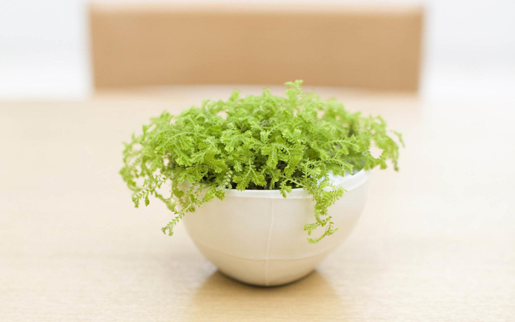 走上人生巔峰，只需掌握這四種顏色方向