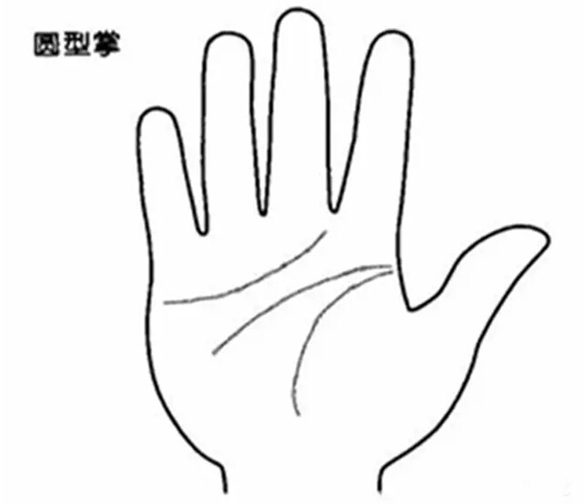 四種不同手掌外形，看出你的不同性格