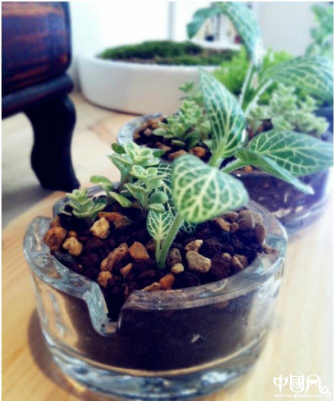 店鋪擺設(shè)風水注意事項有哪些