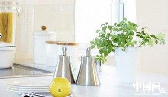 植物對家居的風水影響