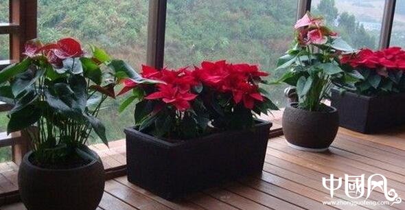 陽(yáng)臺(tái)的風(fēng)水布局